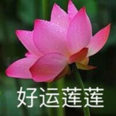 草花手游圣斗士2下载
